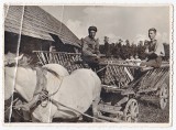 Fotografuota Pamiškių kaimo laukuoseNaudojimo teisių informacija: Emilijos Petrauskaitės-Mikalajūnienės archyvas